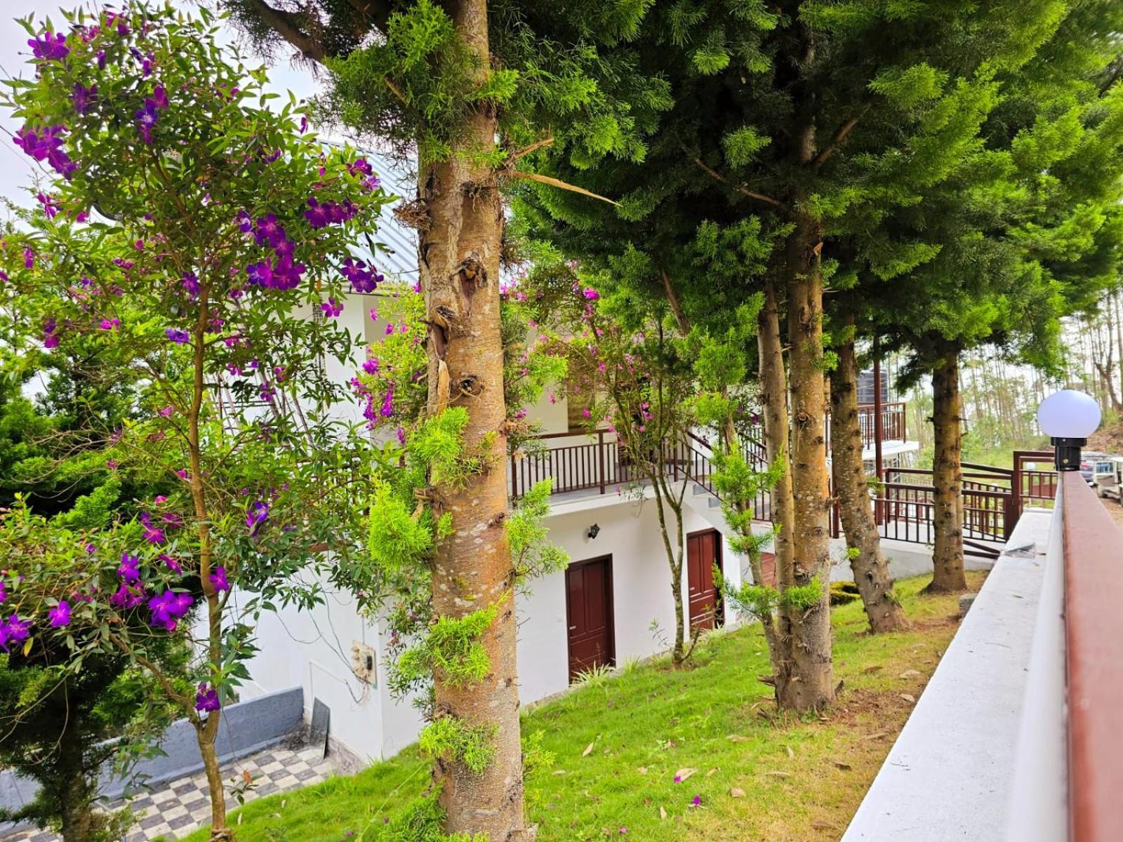Bed and Breakfast Rock And Mist Munnar Devikolam Екстер'єр фото